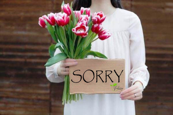Kirim Bunga Untuk Mengucapkan Maaf